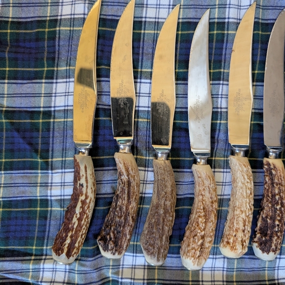 Antique Stag/Antler Horn Steak knives Set 6 Made In England - Picture 5 of 8